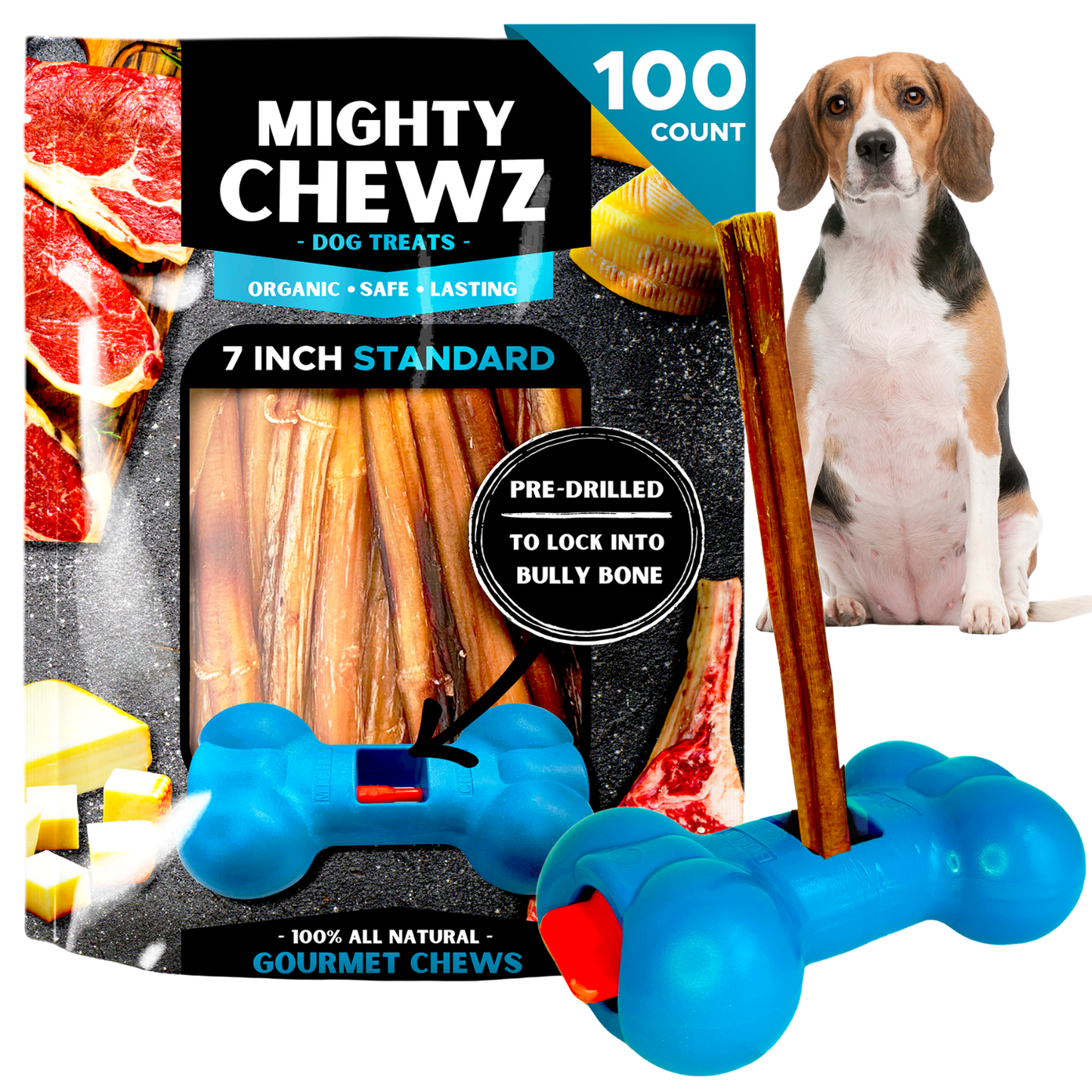 7" Standard Bully Sticks - Bully Bone Included